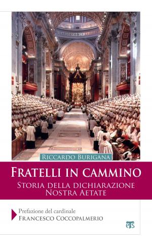 Cover of the book Fratelli in cammino by Antonio Mazzi