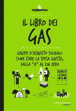 Book cover of Il libro dei Gas