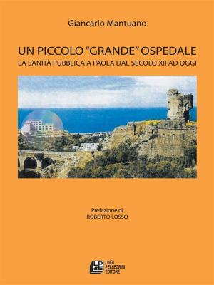 Cover of the book Un Piccolo Grande Ospedale. La sanità pubblica a Paola dal secolo XII ad oggi by Carolina Pellegrino