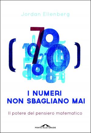Cover of the book I numeri non sbagliano mai by Emanuele Trevi