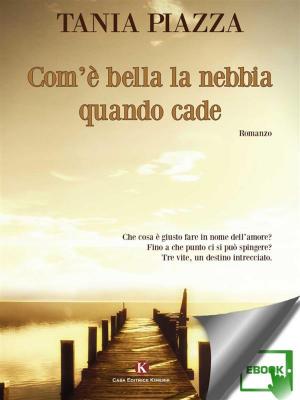 Cover of the book Com'è bella la nebbia quando cade by Fallace Carlo