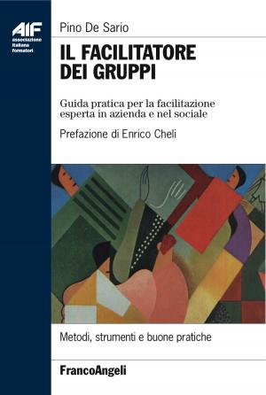 Book cover of Il facilitatore dei gruppi. Guida pratica per la facilitazione esperta in azienda e nel sociale
