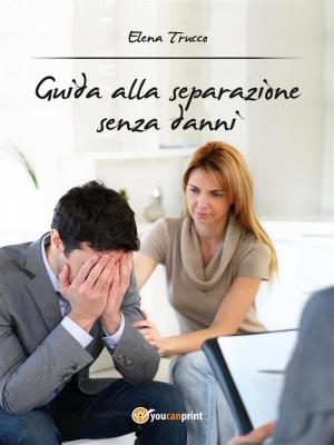Cover of the book Guida alla separazione senza danni by Vincenzo Amendolagine