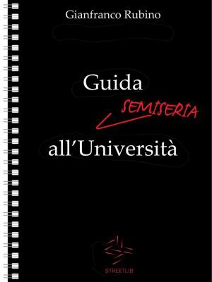 Book cover of Guida Semiseria all'Università