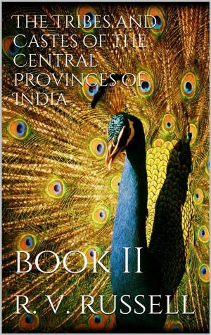 Cover of the book The Tribes and Castes of the Central Provinces of India, Book II by Louisa Vincenza