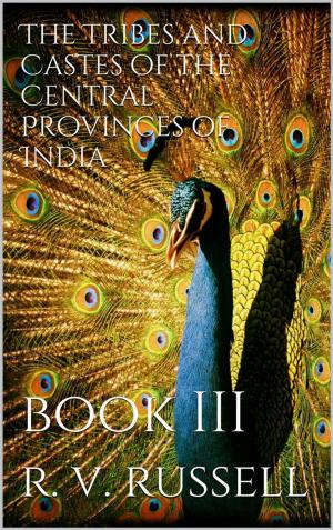 Cover of the book The Tribes and Castes of the Central Provinces of India, Book III by Paul Gosselin