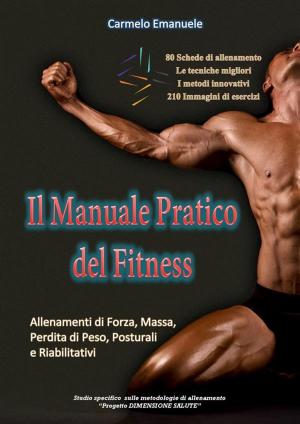 Book cover of Il Manuale Pratico del Fitness