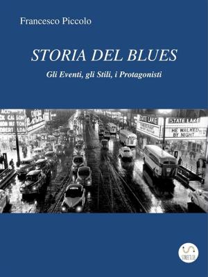 Book cover of Storia del Blues