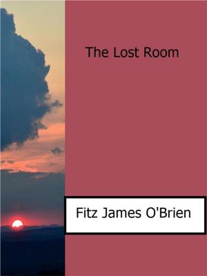 Cover of the book The Lost Room by K.E. Rodgers
