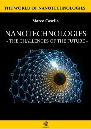 Book cover of Nanotechnologies - The challenges of the future