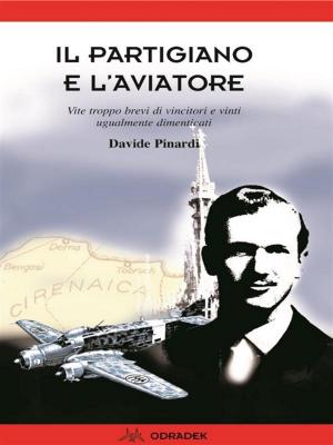 Cover of the book Il Partigiano e l’ Aviatore by Cosimo Mottolese