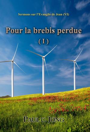 Cover of the book Pour la brebis perdue ( I ) - Sermons sur l’Evangile de Jean (VI) by Paul C. Jong
