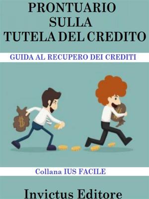 Cover of the book Prontuario sulla tutela del credito by Pietro Elia