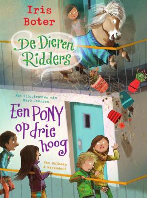 Cover of the book Een pony op driehoog by Loron-Jon Stokes