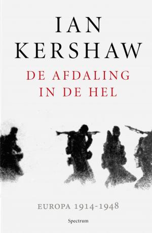 Cover of the book De afdaling in de hel by Marianne Busser, Ron Schröder