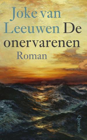 Cover of the book De onervarenen by James Dashner