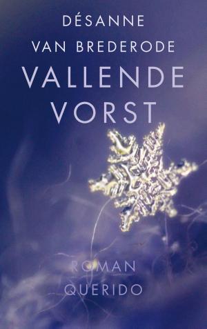 Cover of the book Vallende vorst by Anna Enquist