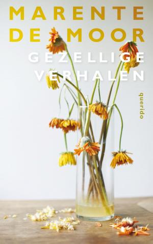 Cover of the book Gezellige verhalen by Anna Enquist