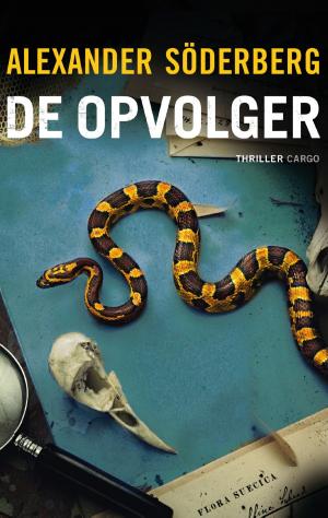 Cover of the book De opvolger by Paul Auster