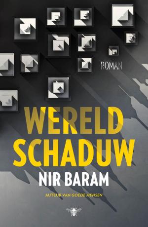 Book cover of Wereldschaduw