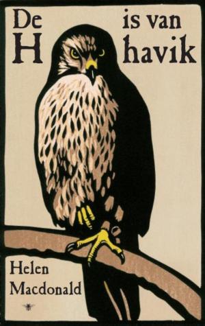 Cover of the book De H is van Havik by James Matthew Barrie, Arthur Rackham