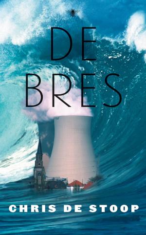 Cover of the book De bres by Simone van Saarloos