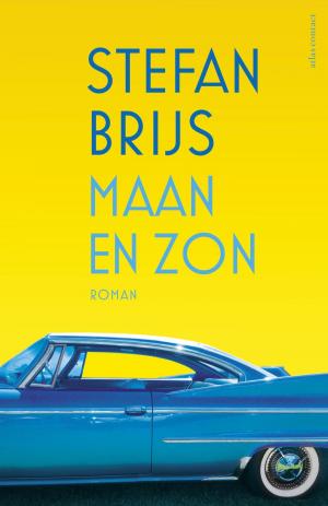 Cover of the book Maan en zon by Henk Spaan