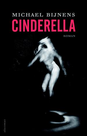 Cover of the book Cinderella by Lieve Joris