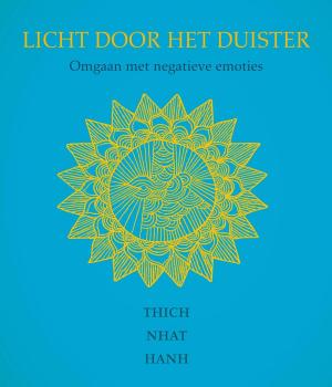 Cover of the book Licht door het duister by J.B. Morrison