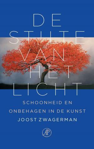 Cover of the book De stilte van het licht by Arthur van Amerongen
