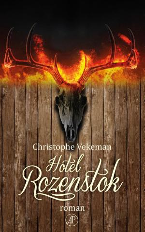 Cover of the book Hotel Rozenstok by Monika van Paemel