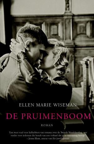 Cover of the book De pruimenboom by Joke Verweerd