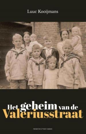Cover of the book Het geheim van de Valeriusstraat by Anna Burns
