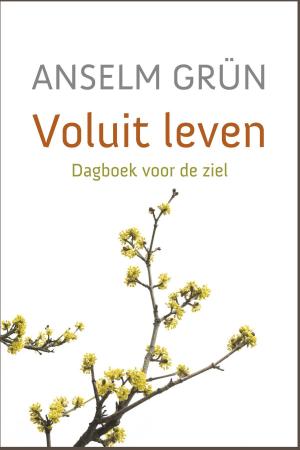 Cover of the book Voluit leven by Hetty Luiten