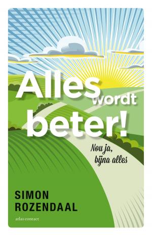 Cover of the book Alles wordt beter! by Garth Risk Hallberg