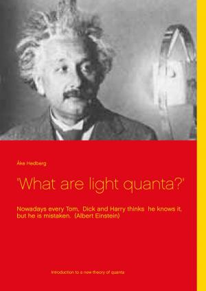 Cover of the book 'What are light quanta?' by Renate Sültz, Uwe H. Sültz