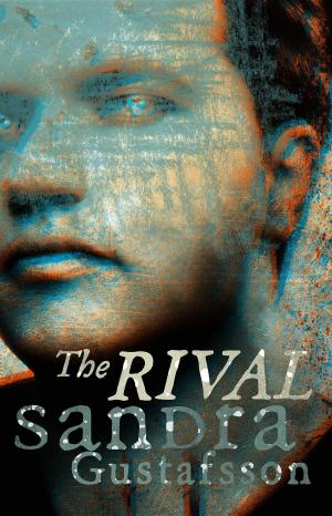 Cover of the book The Rival by Geoff Le Pard