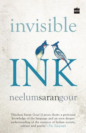 Cover of the book Invisible Ink by Krishna Shastri Devulapalli