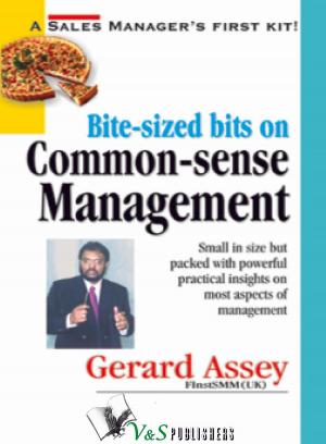 bigCover of the book HOW TO BECOME A SUCCESSSFUL MANAGER by 