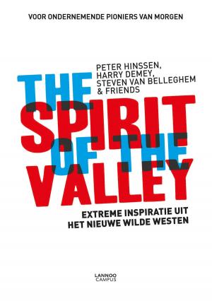 Book cover of The spirit of the valley