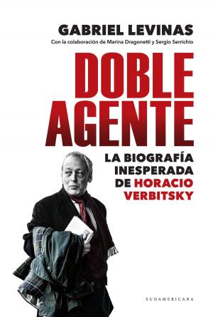 Cover of the book Doble agente by Jorge Fernández Díaz