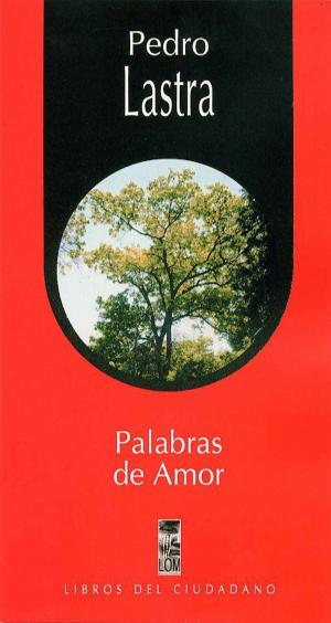 Cover of the book Palabras de amor by Manuel Rojas