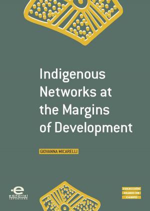 Cover of the book Indigenous Networks at the Margins of Development by 