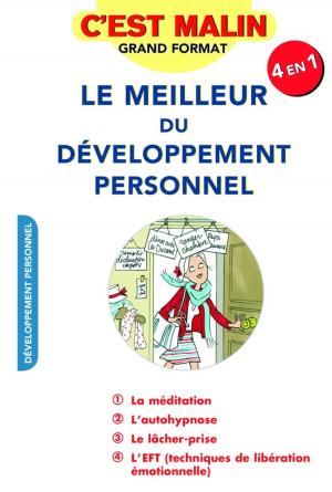 Cover of the book Le meilleur du développement personnel, c'est malin by Mark Scott, Julie Frédérique