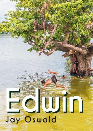 Cover of the book Edwin by Érik Rémès