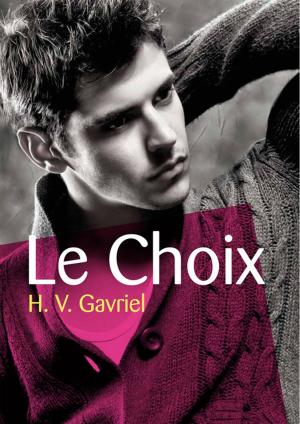 Cover of the book Le Choix by Jordan Béranger
