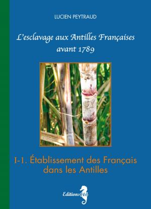 Book cover of I-1 Etablissement des Français dans les Antilles