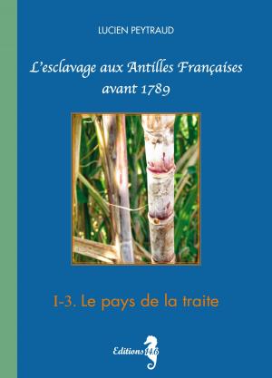 Book cover of I-3 Le pays de la Traite