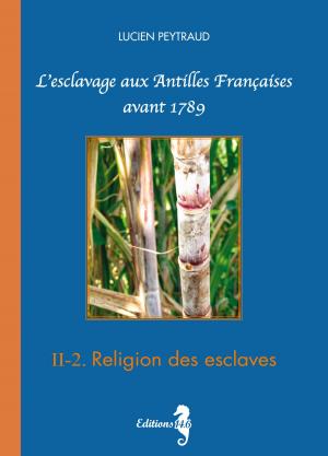 Book cover of II-2 Religion des esclaves