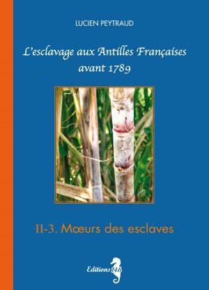 Book cover of II-3 Mœurs des esclaves